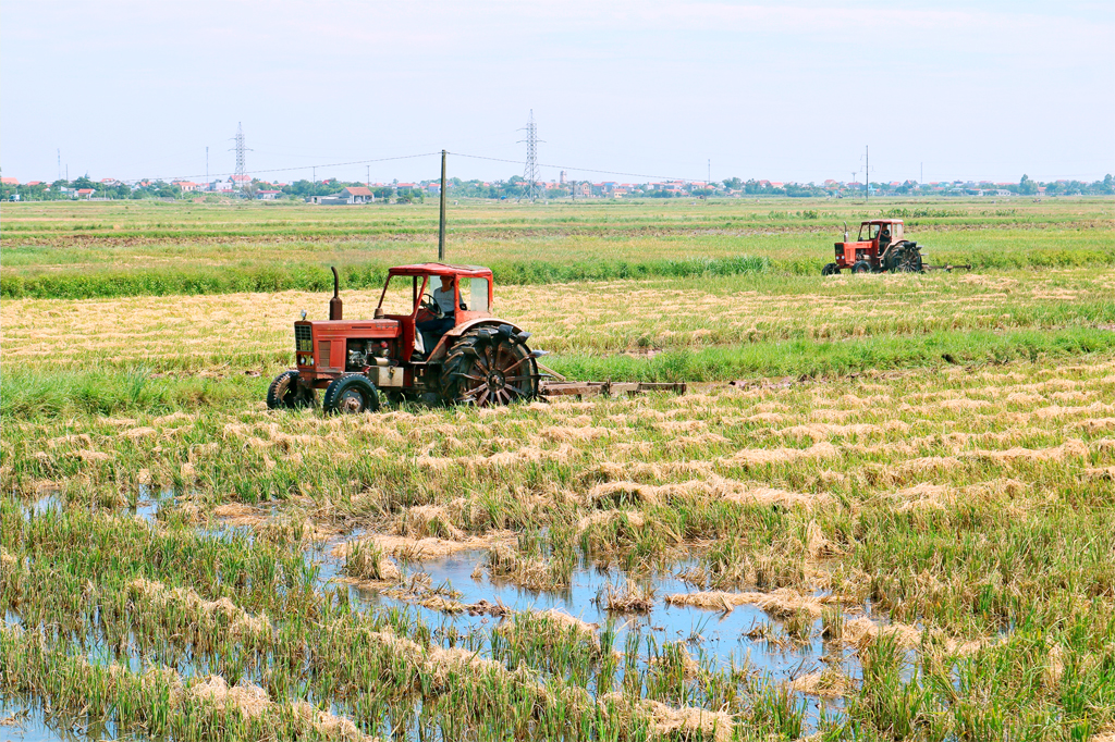 Yên Khánh: Tập trung cao cho sản xuất vụ mùa